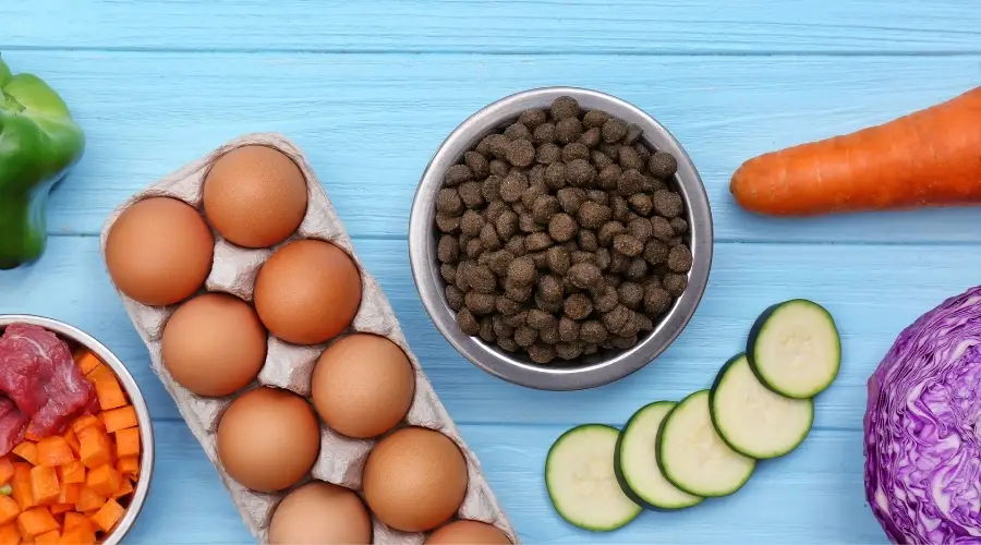 Comida para perros con ingredientes naturales