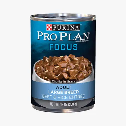 Comida enlatada Purina Pro Focus para perros