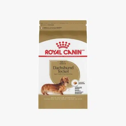 Royal Canin Breed Health Nutrition Dachshund Alimento seco para perros adultos