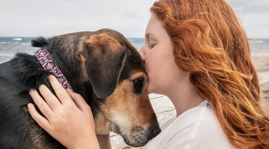 Joven pelirroja besando la cabeza del leal perro mascota Huntaway