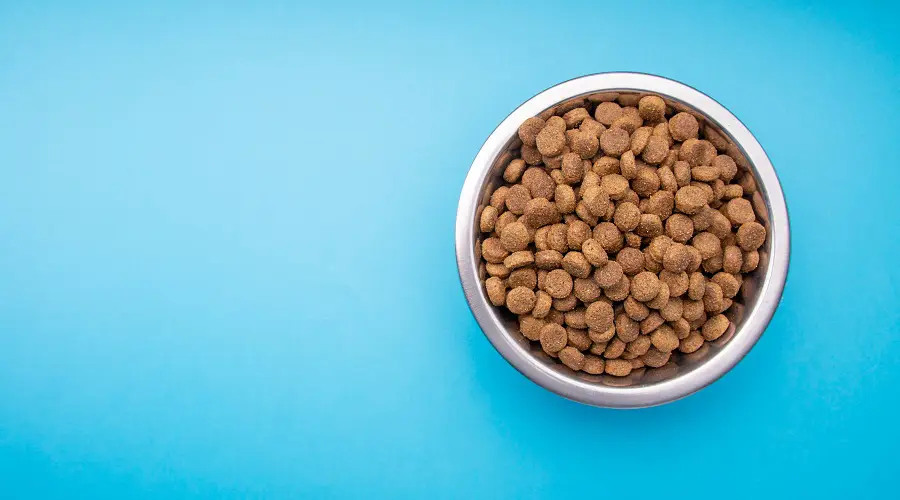 Comida para perros de pato en un tazón