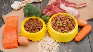 For Puppies, Seniors, Weight Management, Delivery & More