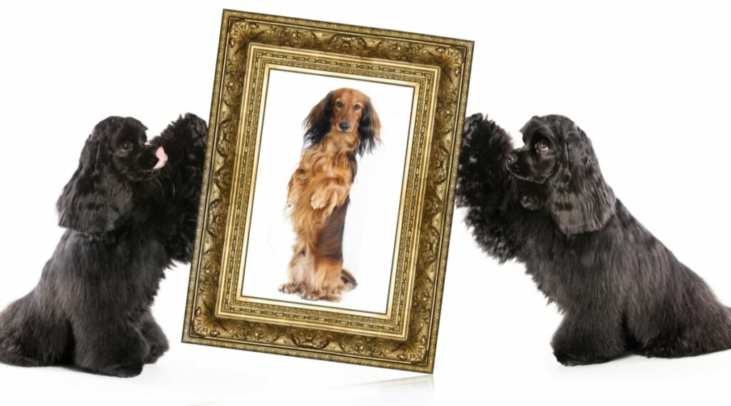 retrato de perro en un marco dorado con dos perros de aguas negros sentados a cada lado con fondo blanco