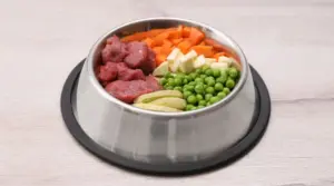 Reseñas De Comida Para Perros Freshpet Ama a Tu
