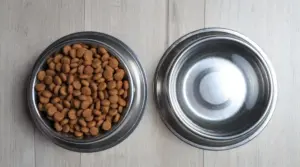 ¿qué Marca De Comida Para Perros Es Mejor?