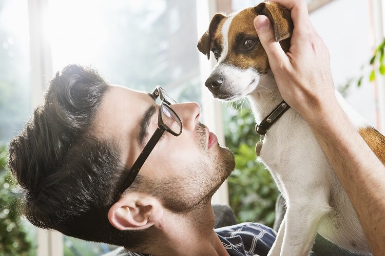 ¿Por qué mi perro me lame la nariz y cómo evitarlo? 2 Cómo evitar que el perro deje de lamerse la nariz