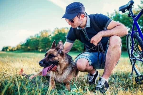 cómo entrenar a mi pastor alemán para protección personal