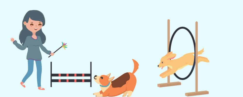 Juegos divertidos para jugar con tu perro