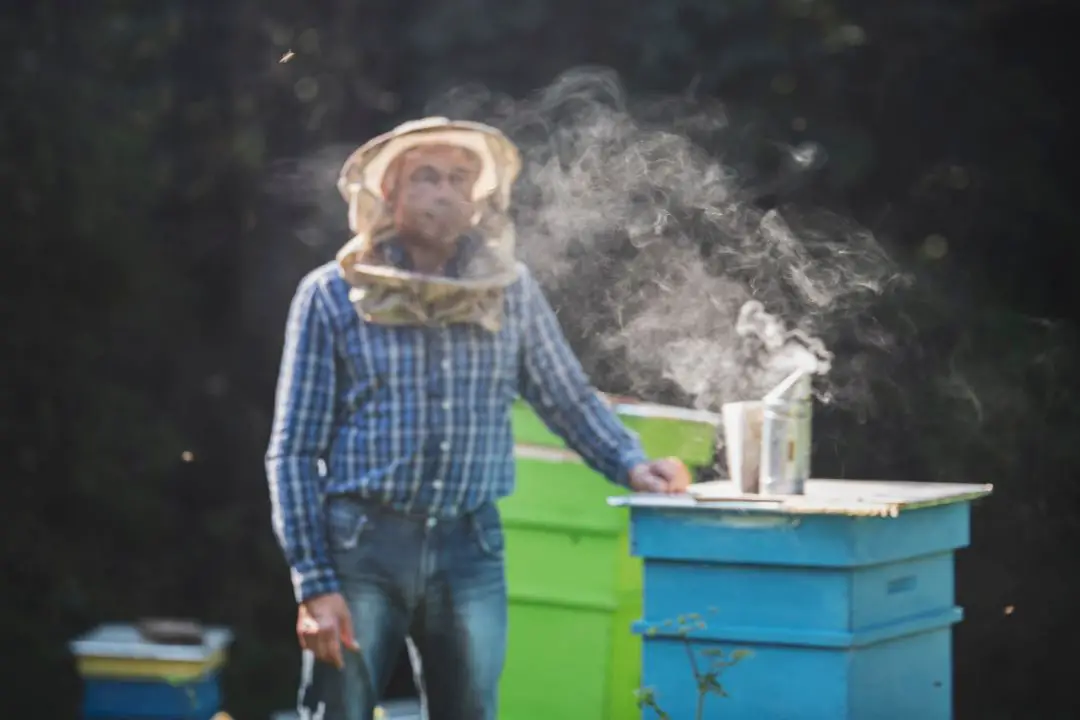 ¿Las Abejas Pican a Los Apicultores? (La Dolorosa Verdad) ¿las Abejas Pican a Los Apicultores? (la Dolorosa Verdad)