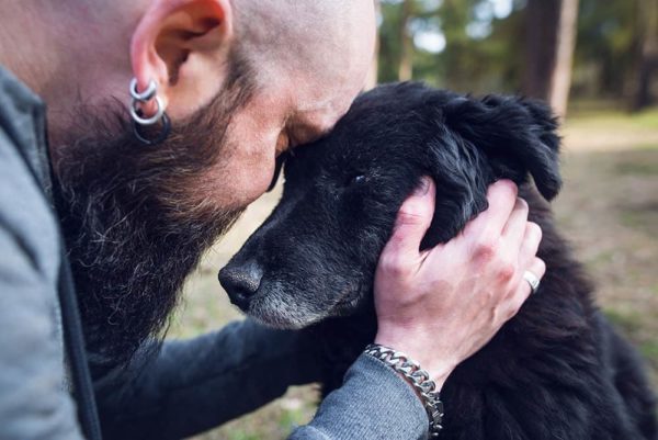 ¿Pueden los perros saber cuándo están muriendo? Aquí está todo lo que necesita saber 2 ¿Sabe-un-perro-cuándo-se-muere-y-cómo-cómo?