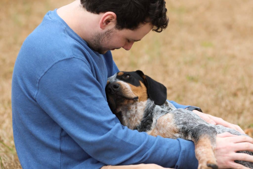 ¿Pueden los perros saber cuándo están muriendo? Aquí está todo lo que necesita saber 3 ¿Sabe-un-perro-cuándo-se-muere-y-cómo-cómo?