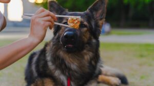 ¿pueden Los Perros Comer Higos Newton?