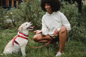 ¿pueden Los Perros Comer Wasabi?