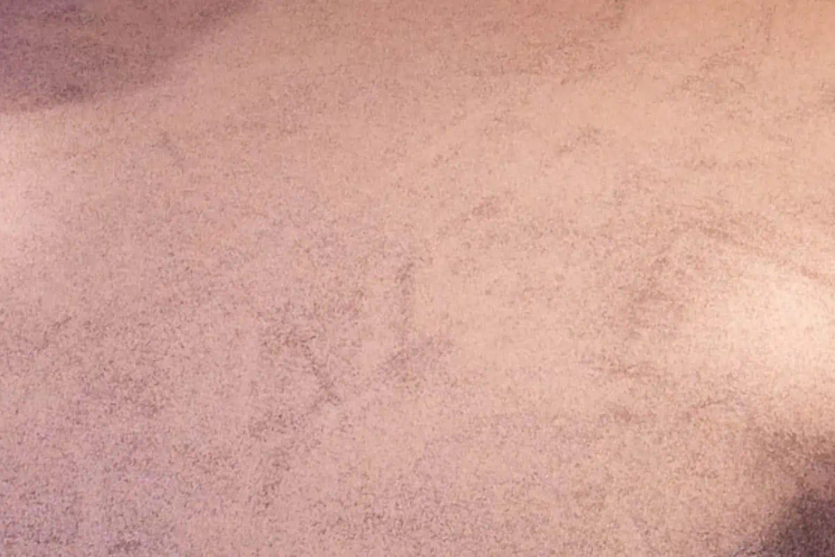 Sala familiar con alfombra.
