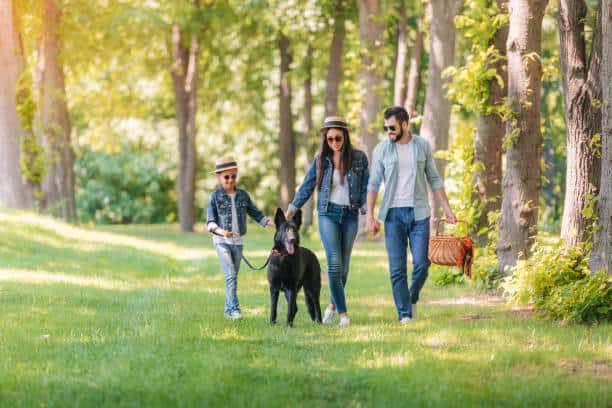 perro-pastor-aleman-paseando-con-familia 