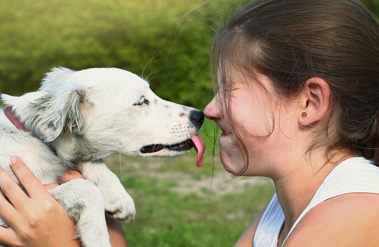 6 razones por las que mi perro me lame los ojos: ¿debería preocuparme o no? 3 ¿Debo evitar que mi perro me lama los ojos?