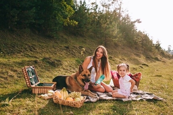 ¿Son Los Pastores Alemanes Buenos Perros De Familia? Esto Es Lo Que Necesitas Saber ¿son Los Pastores Alemanes Buenos Perros De Familia? Esto Es