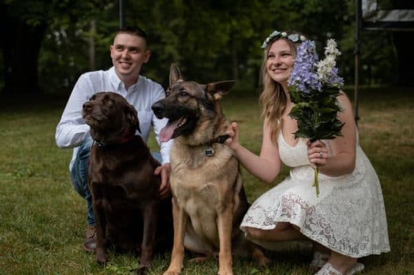 ¿Es-un-pastor-alemán-un-buen-perro-de-familia?