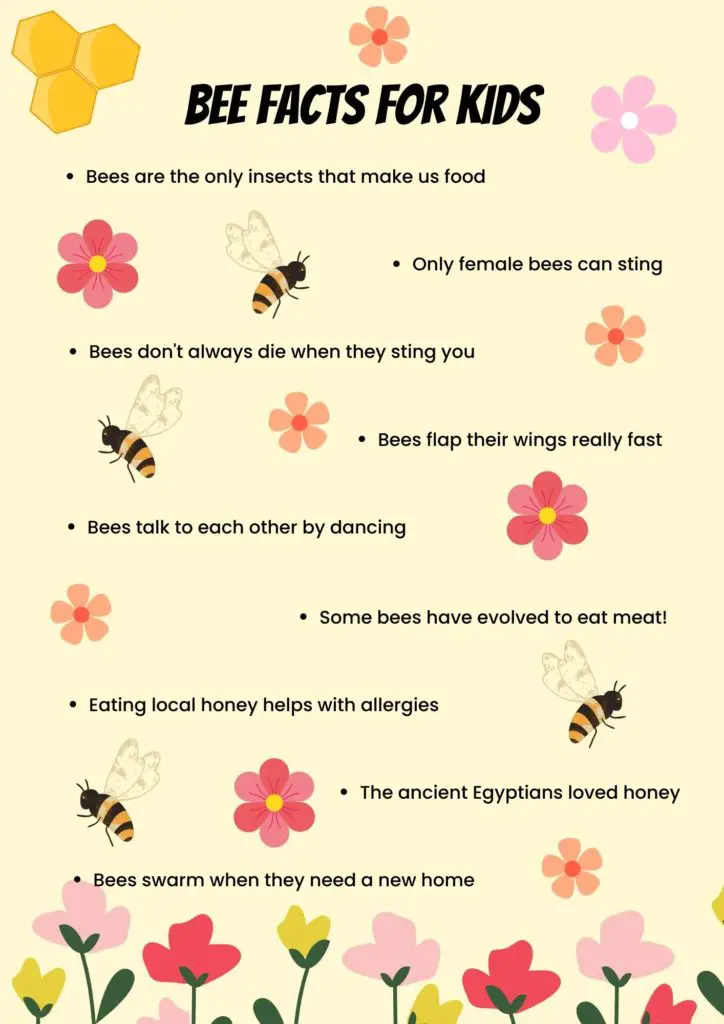 datos sobre abejas para niños ejemplo en pdf