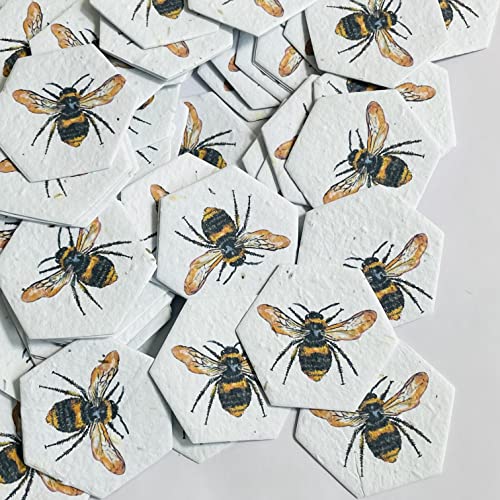 Papel Semilla Plantable Hexágonos 50 - Abeja Impresa...