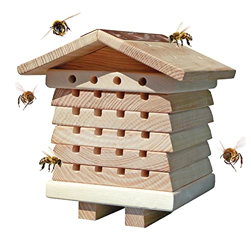 Colmena de abejas solitarias de Wildlife World