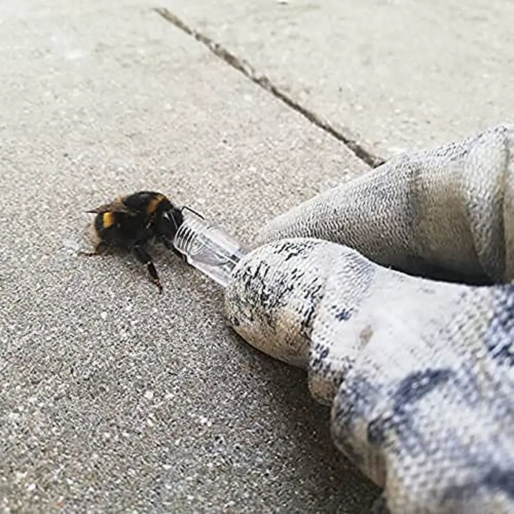 Kit de reactivación de abejas en uso Ejemplo 1