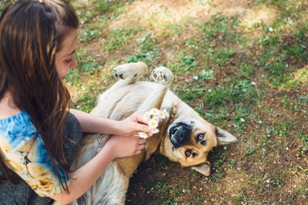 belga-malinois-abrazos