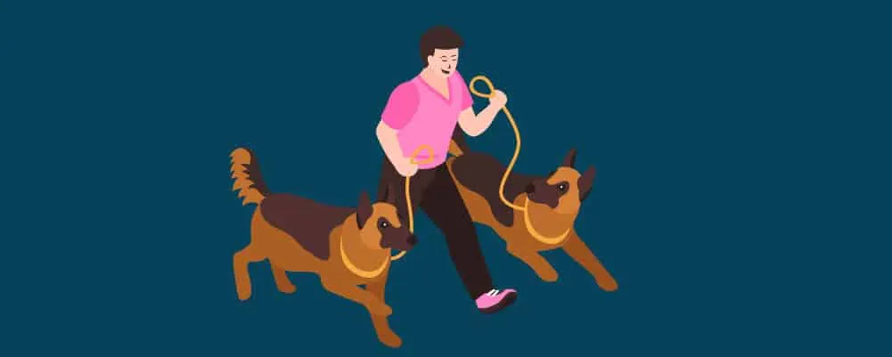 Hombre sacando a pasear a sus perras preñadas