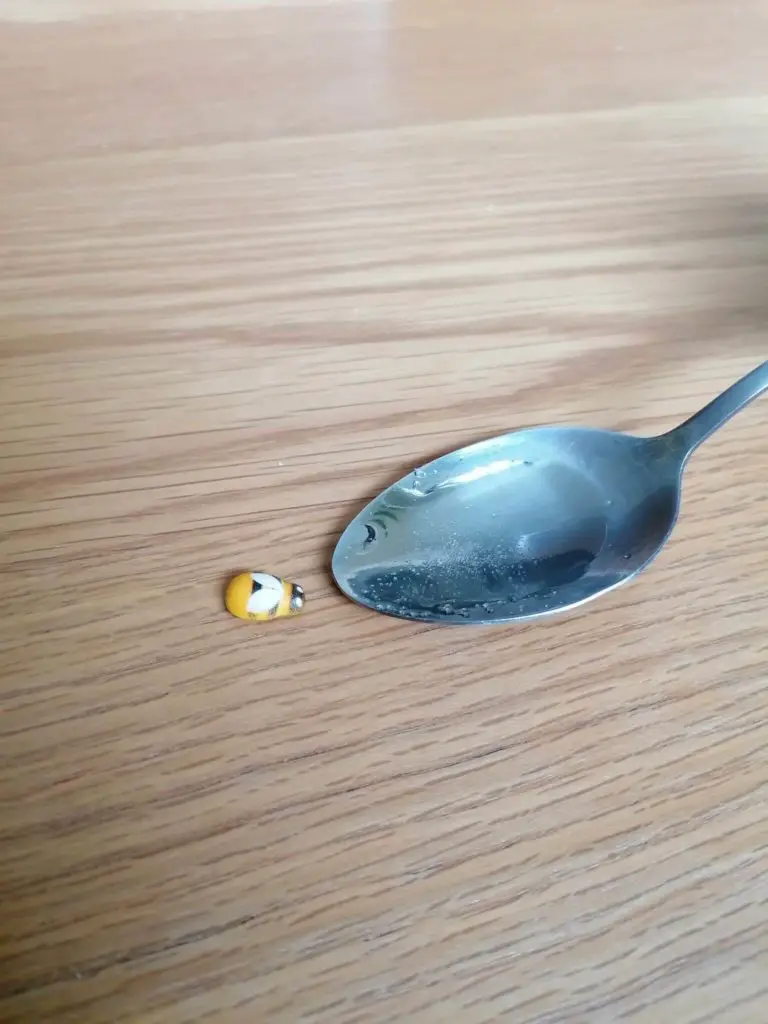 salvar una abeja deshidratada