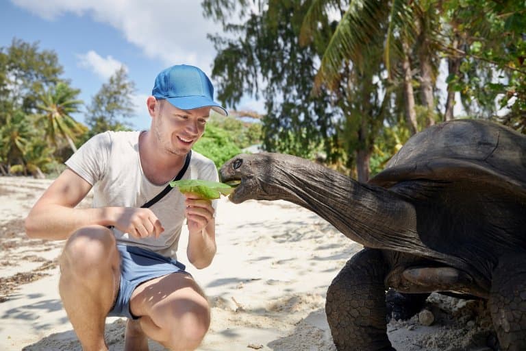 Selfie de la tortuga gigante de Aldabra
