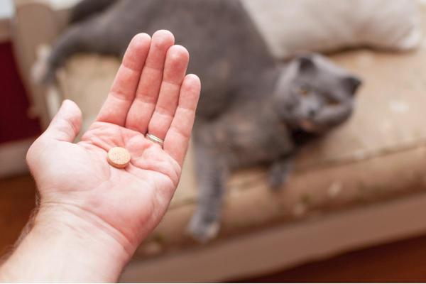 ¿Por qué mi gato no come ni bebe? - Efectos secundarios de los medicamentos.