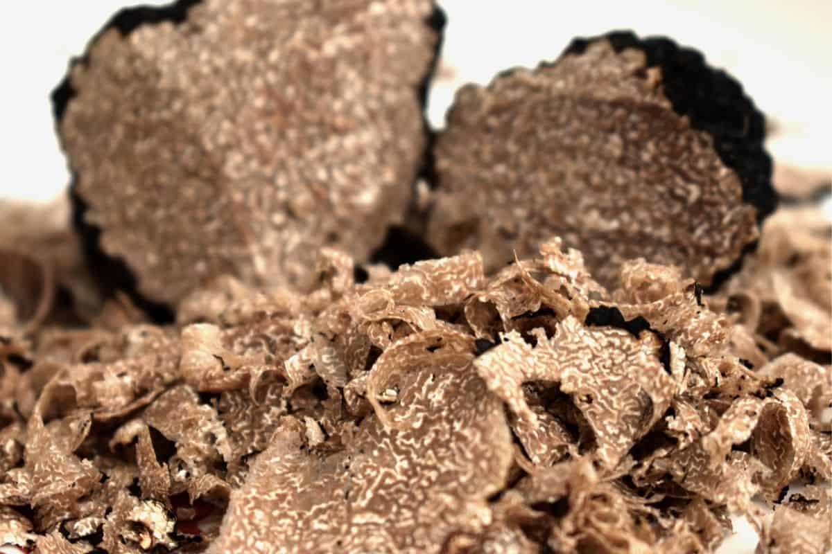 Trufas raspadas