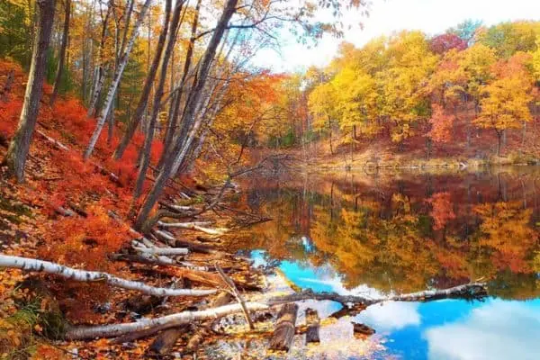 Bosques nacionales de Huron-manistee