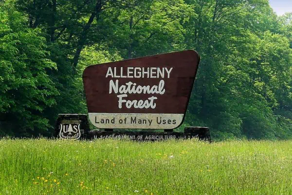 bosque nacional allegheny