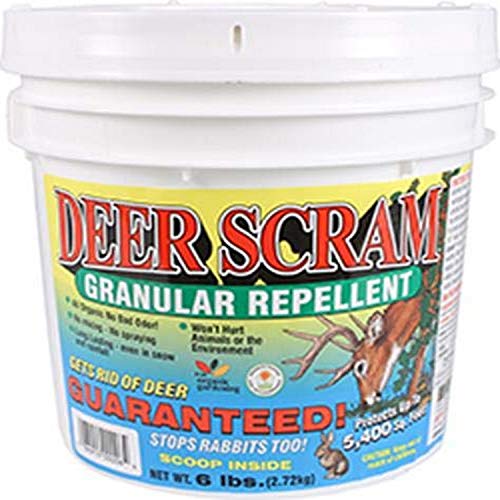 Enviro Pro 1006 Repelente de ciervos granulado blanco, 6 libras Enviro Pro 1006 Repelente de ciervos granulado blanco, 6 libras