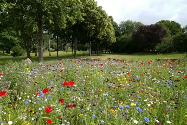 Fotografía de paisaje de jardín de flores.