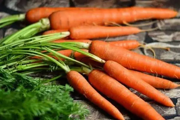 Zanahorias