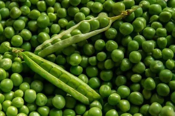 Guisantes