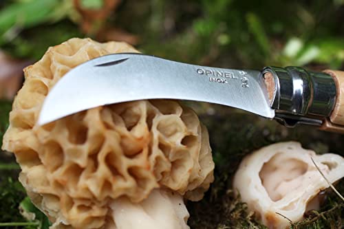 Opinel Nº 08 Cuchillo para Setas - Recoger + Limpiar Setas, Mango de Haya, Cepillo Integrado, Hoja Curva de Acero Sandvik, Fabricado en Francia