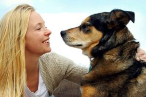 Cómo Darle Cariño a Los Perros Pastores Alemanes: Una Guía