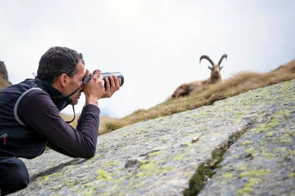 Fotógrafo de la vida salvaje
