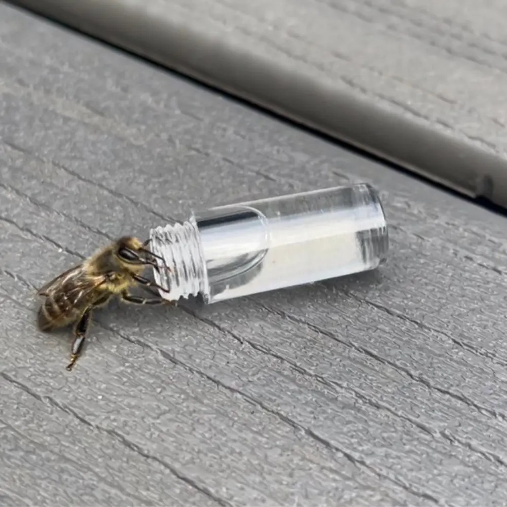 Kit de reactivación de abejas en uso Ejemplo 2