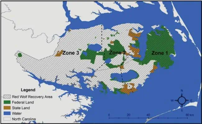 Límites de la zona de gestión del área de recuperación del lobo rojo del noreste de Carolina del Norte