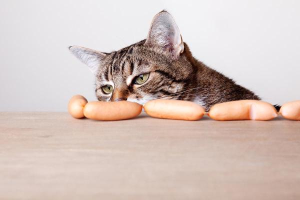 ¿Pueden Los Gatos Comer Salchichas? ¿pueden Los Gatos Comer Salchichas?