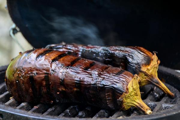 ¿Pueden Los Perros Comer Berenjena? ¿pueden Los Perros Comer Berenjena?