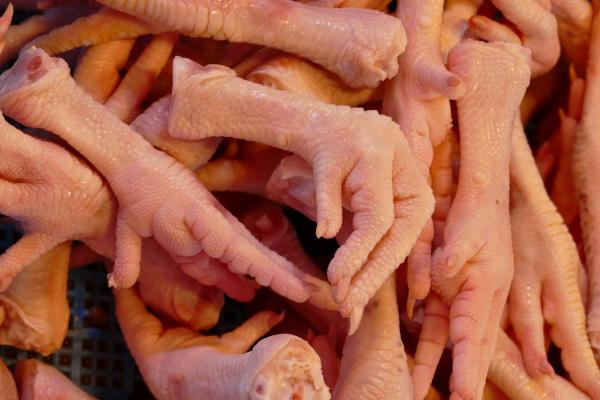 ¿Pueden Los Perros Comer Patas De Pollo? ¿pueden Los Perros Comer Patas De Pollo?