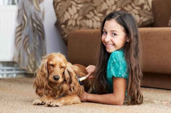 Cómo Cepillar El Pelo De Tu Perro