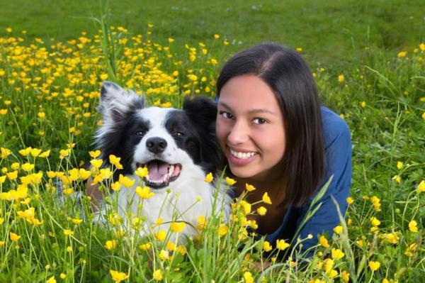 Cuidando a Un Border Collie