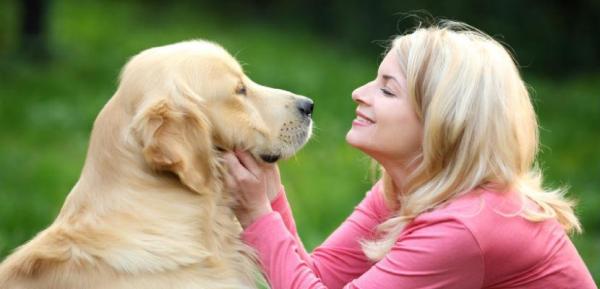 Masajes Para Los Oídos De Tu Perro